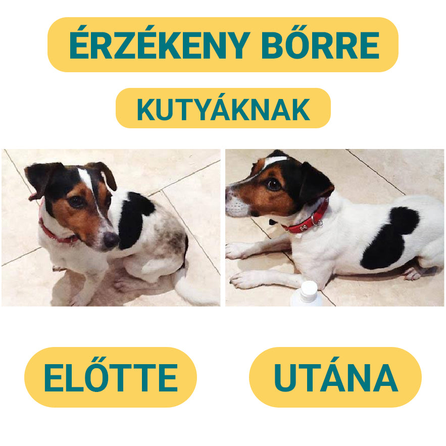 Érzékeny Bőrű Kutyasampon