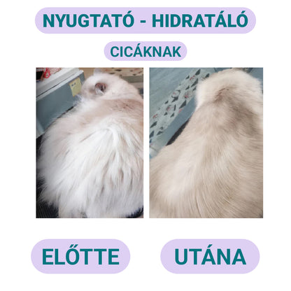Nyugtató Hidratáló Cicasampon