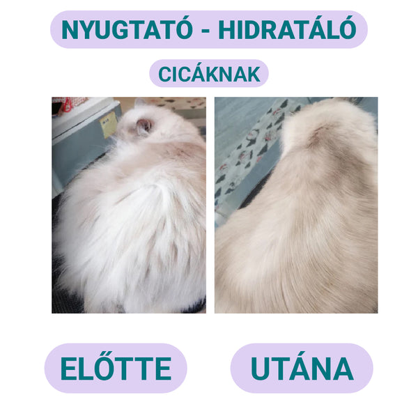 Nyugtató Hidratáló Cicasampon