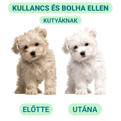 Kullancs- és Bolhaellenes Sampon