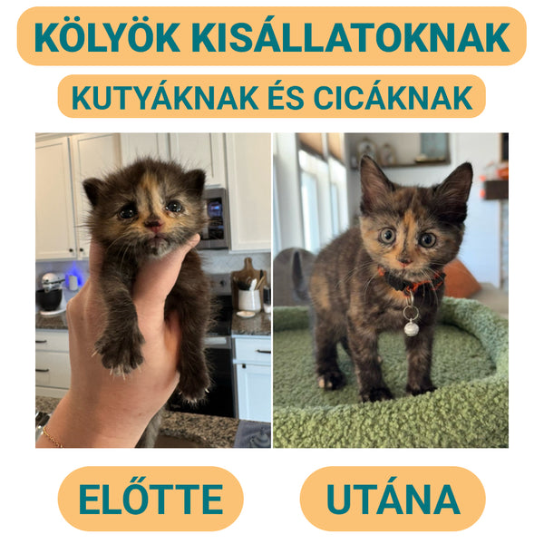 Kölyök Kutyus & Cica Sampon