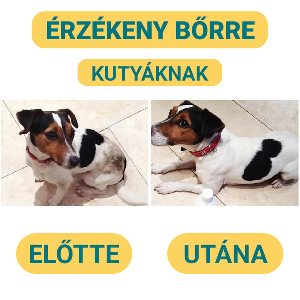 Érzékeny Bőrű Kutyasampon